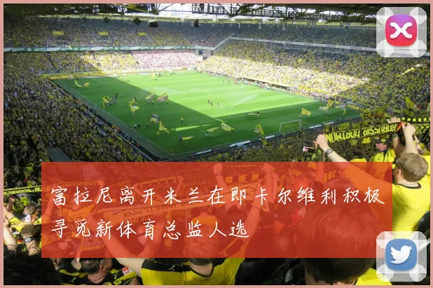 富拉尼离开米兰在即卡尔维利积极寻觅新体育总监人选